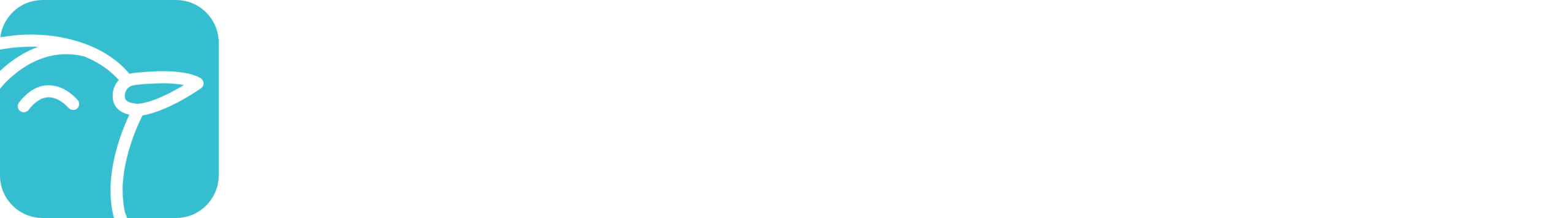 Logo – white – smaller